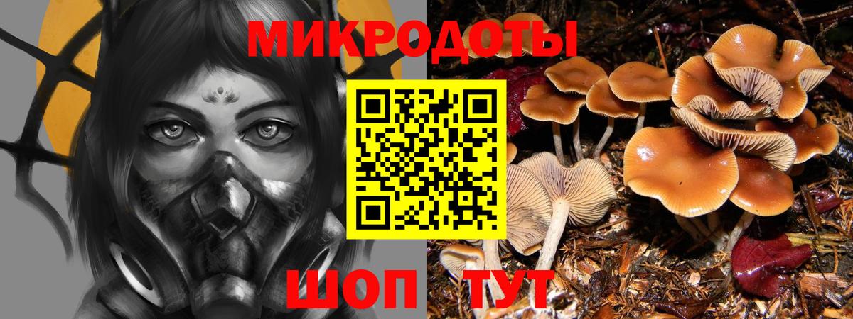 Иркутск  Псилоцибиновые грибы мицелий  Вход с VPN  Галлюциногенные грибы прущие грибы 